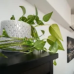 Cichy W Centrum Miasta - Balkon & Klimatyzacja - Riverside Vista By Uniquerent Lejlighed Wrocław