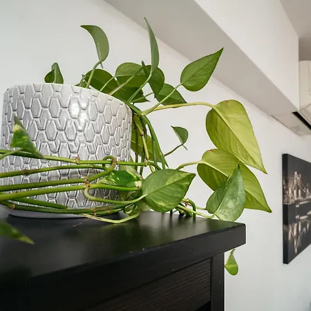 Cichy W Centrum Miasta - Balkon & Klimatyzacja - Riverside Vista By Uniquerent شقة فروتسواف