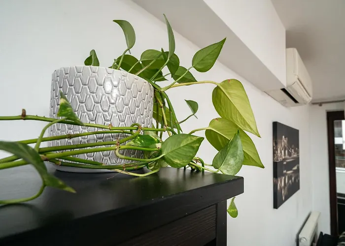 Cichy Nad Rzeka Riverside Vista By Uniquerent Apartment Wroclaw